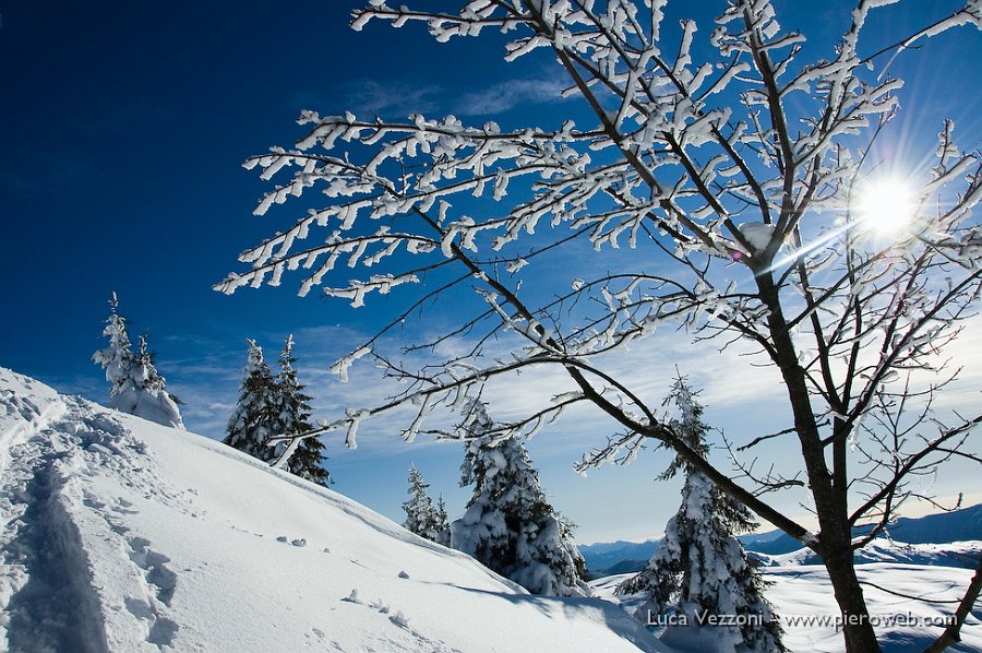 20-FREEZER SOLEGGIATO.jpg